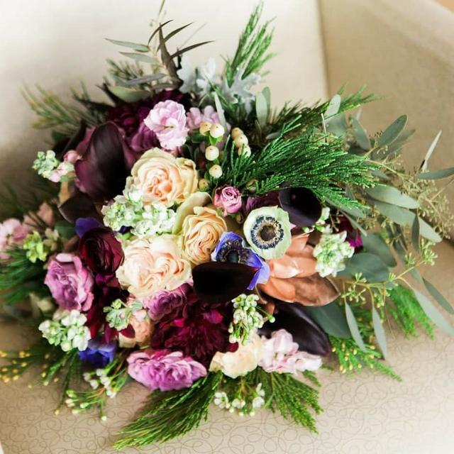 Erin Leigh Photography - 1