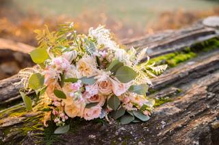 Damselfly Designs - 17