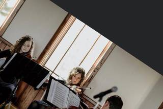 Anderson String Quartet - 11