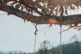 White Hollow Acres - 15