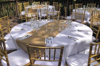 Soiree Party Rental - 10