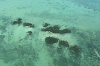 Belize Weddings - 47