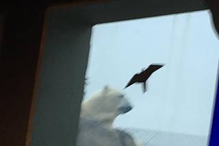 The Toledo Zoo - 18
