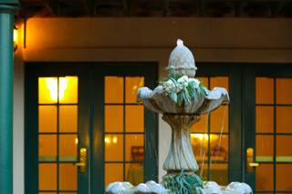 Reale Events - 19