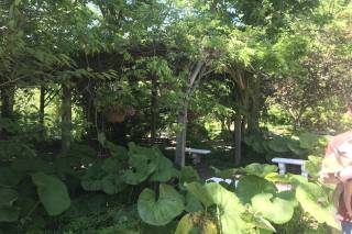 Carmen's Country Inn & Gardens - 76