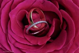 Nectar Custom Floral Designs - 13
