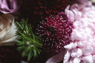 ZPotler Photography - 7