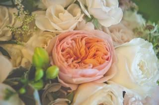 Jimmy Blooms Floral - 32