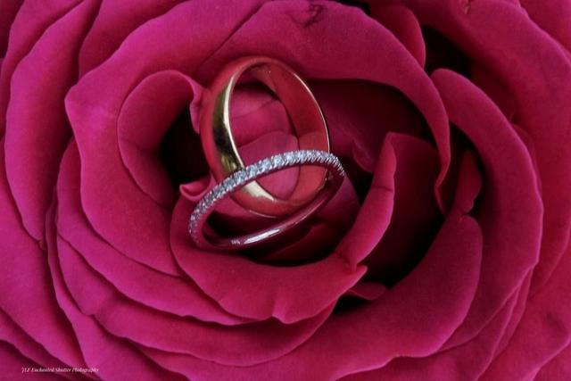 Nectar Custom Floral Designs - 1