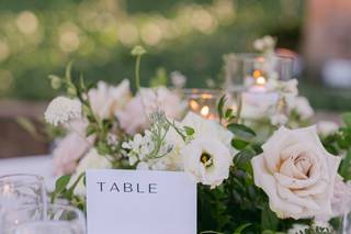 Lovely Peonies - 38