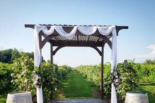 Becker Farms and Vizcarra Vineyards - 93