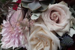 LeRoy's Flowers - 43