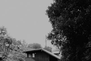 Hans Fahden Vineyards - 5