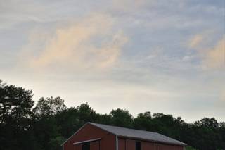 Hyland Orchard - 15