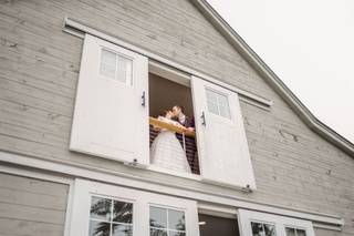 Mayfair Farm - 49