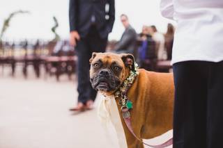 Stephanie W. Photography - 42
