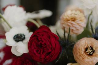 Miami Centerpieces, LLC - 123