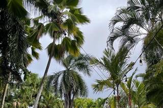 Oahu Wedding Villas & Venues - 35