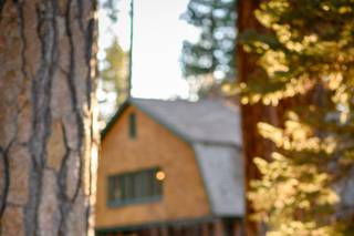 Tahoe Weddings  AGoGo - 45