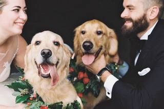 Ashley Cox Photography - 38