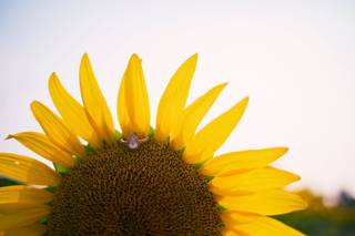Capture This Photography - 10