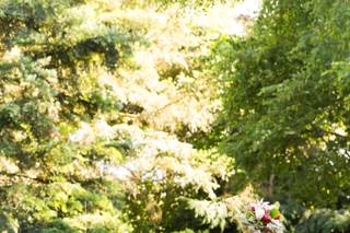 E. Ann Photography - 18