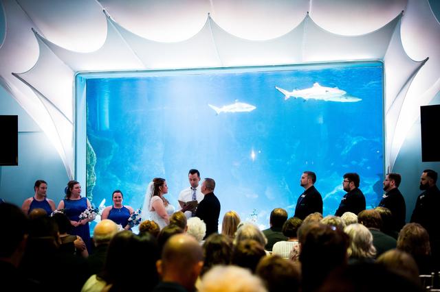 Newport Aquarium - 3