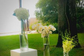 Annlyzang Events - 25
