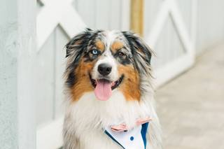 Lisa Marshall Photography - 13