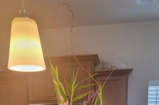 Hillcrest Floral - 1
