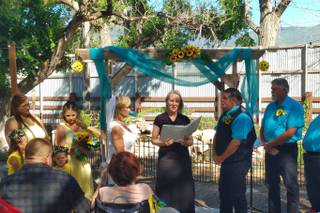 Mill Pond Farms Events - 5