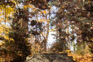 Parque Ridley Creek - 37