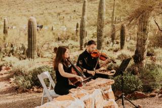 Magnolia Strings - 21