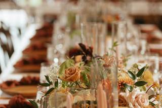 root + gather events - 17