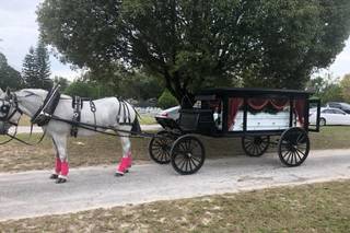 Sweet Southern Horse & Carriage - 10