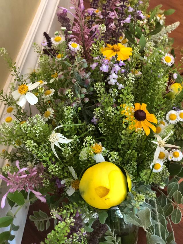 William's Wildflowers - 2