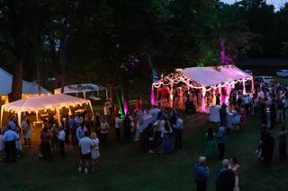Ambient Entertainment - DJ's, MC's, & Uplighting - 21