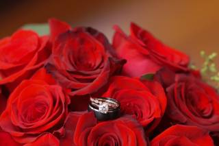Blooming Flowers - 102