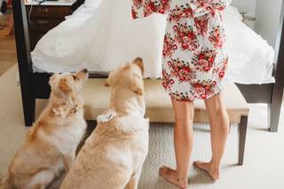 Robin Fox Photography - 8