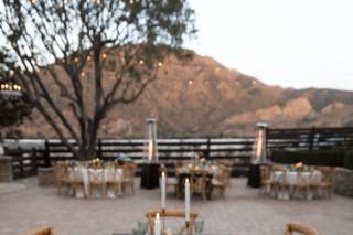 Casi Cielo Vineyards - 10