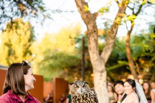 San Diego Zoo Wildlife Alliance - 77