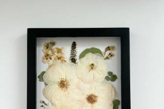 White Poppy Preservation - 54