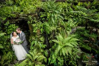 Rooted Image Photography - 106