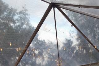 Orlando Wedding & Party Rentals - 18