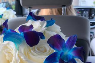 LuckyCricketWeddings - 19