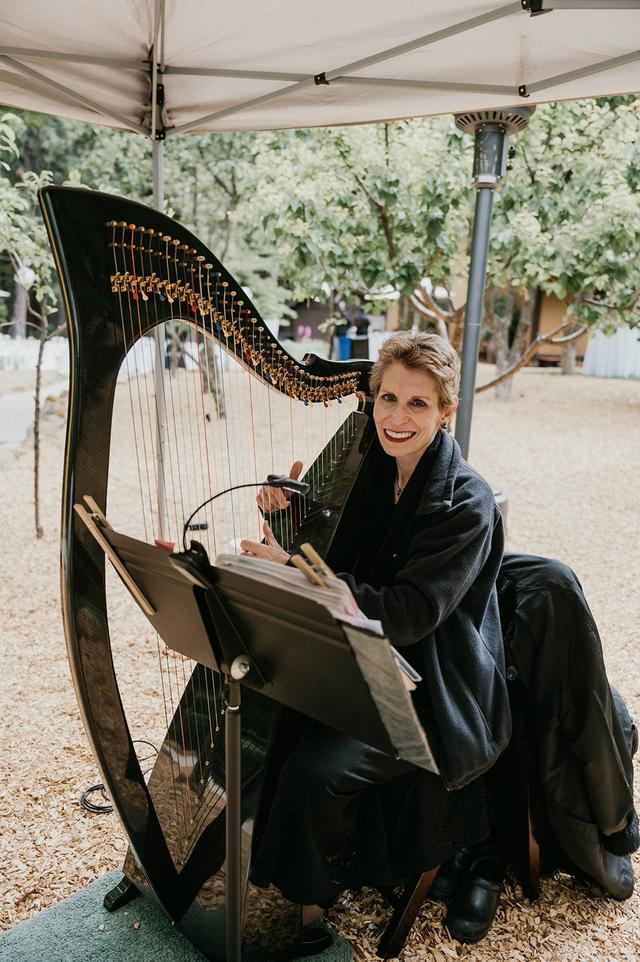 Celtic Harp Music by Anne Roos - 4