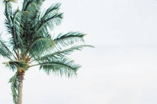 Weddings of Hawaii - 17