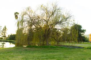 Sierra La Verne by Wedgewood Weddings - 26