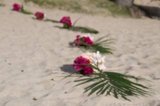 Emerald Beach Resort - 16