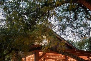 Red Maple Vineyard - 15